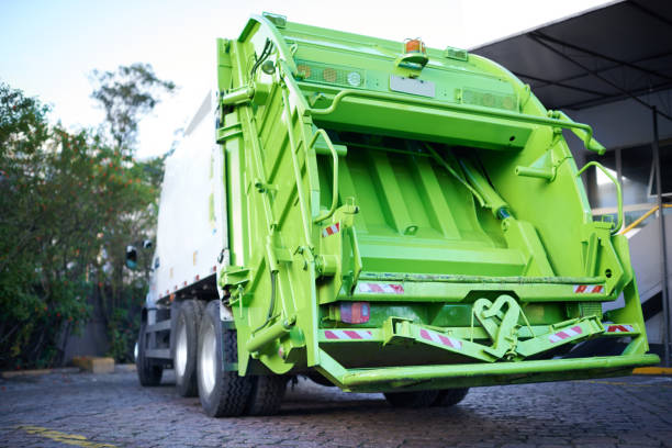 Best Basement Cleanout Services  in Holt, AL